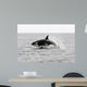 Transient Killer Whale Leaping Wall Decal Design 1