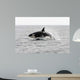 Transient Killer Whale Leaping Wall Decal Design 1