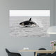 Transient Killer Whale Leaping Wall Decal Design 1
