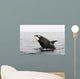 Transient Killer Whale Breaching Wall Decal