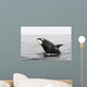 Transient Killer Whale Breaching Wall Decal
