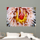Fish-eating Anemone Urticina Piscivora Wall Decal Design 2