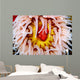 Fish-eating Anemone Urticina Piscivora Wall Decal Design 2