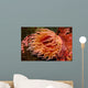 Fish-eating Anemone Urticina Piscivora Wall Decal Design 1
