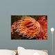 Fish-eating Anemone Urticina Piscivora Wall Decal Design 1