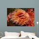 Fish-eating Anemone Urticina Piscivora Wall Decal Design 1