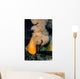 White-plumed Anemone Metridium Giganteum Wall Decal