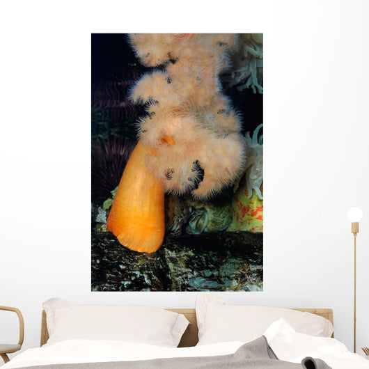White-plumed Anemone Metridium Giganteum Wall Decal
