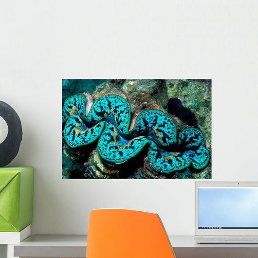 Giant Clam Tridachna Sp Wall Decal Design 2
