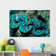 Giant Clam Tridachna Sp Wall Decal Design 2