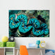Giant Clam Tridachna Sp Wall Decal Design 2