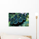 Giant Clam Tridachna Sp Wall Decal Design 1