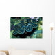 Giant Clam Tridachna Sp Wall Decal Design 1