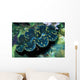 Giant Clam Tridachna Sp Wall Decal Design 1
