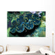 Giant Clam Tridachna Sp Wall Decal Design 1