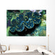 Giant Clam Tridachna Sp Wall Decal Design 1