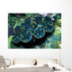 Giant Clam Tridachna Sp Wall Decal Design 1