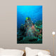 Coral Reef Papua New Wall Decal
