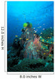 Coral Reef Papua New Wall Decal