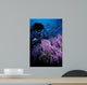 California Hydrocoral Coronados Islands Wall Decal