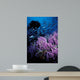 California Hydrocoral Coronados Islands Wall Decal