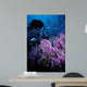 California Hydrocoral Coronados Islands Wall Decal