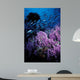 California Hydrocoral Coronados Islands Wall Decal
