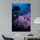California Hydrocoral Coronados Islands Wall Decal