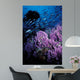 California Hydrocoral Coronados Islands Wall Decal
