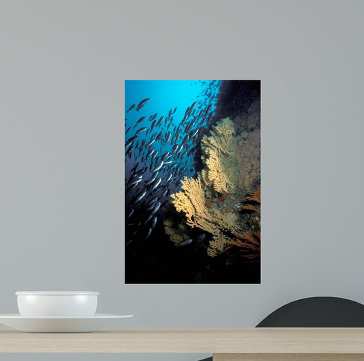 California Golden Gorgonian Coronados Wall Decal