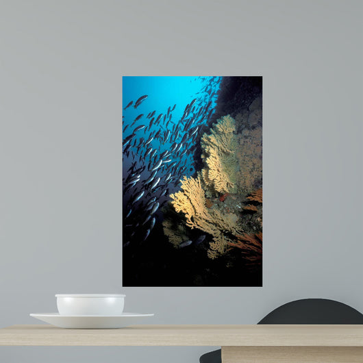 California Golden Gorgonian Coronados Wall Decal