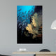 California Golden Gorgonian Coronados Wall Decal