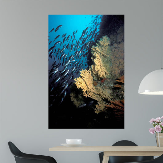 California Golden Gorgonian Coronados Wall Decal