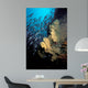 California Golden Gorgonian Coronados Wall Decal