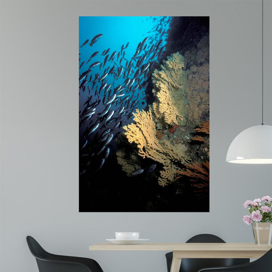 California Golden Gorgonian Coronados Wall Decal