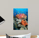 Tropical Coral Reef Fiji Wall Decal Design 8