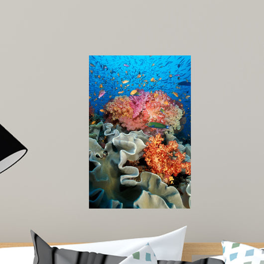 Tropical Coral Reef Fiji Wall Decal Design 8