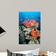 Tropical Coral Reef Fiji Wall Decal Design 8