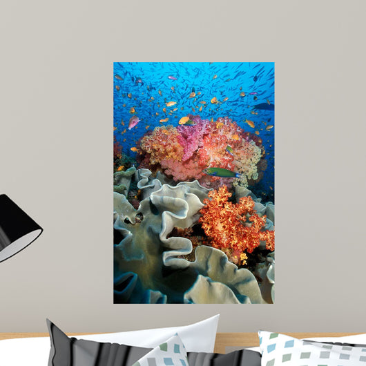 Tropical Coral Reef Fiji Wall Decal Design 8