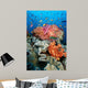 Tropical Coral Reef Fiji Wall Decal Design 8