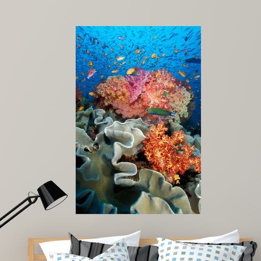 Tropical Coral Reef Fiji Wall Decal Design 8