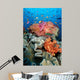 Tropical Coral Reef Fiji Wall Decal Design 8