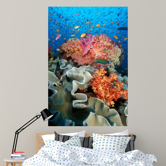 Tropical Coral Reef Fiji Wall Decal Design 8