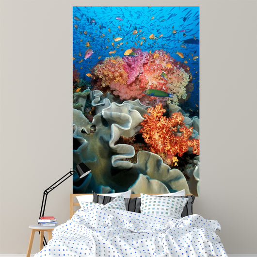 Tropical Coral Reef Fiji Wall Decal Design 8