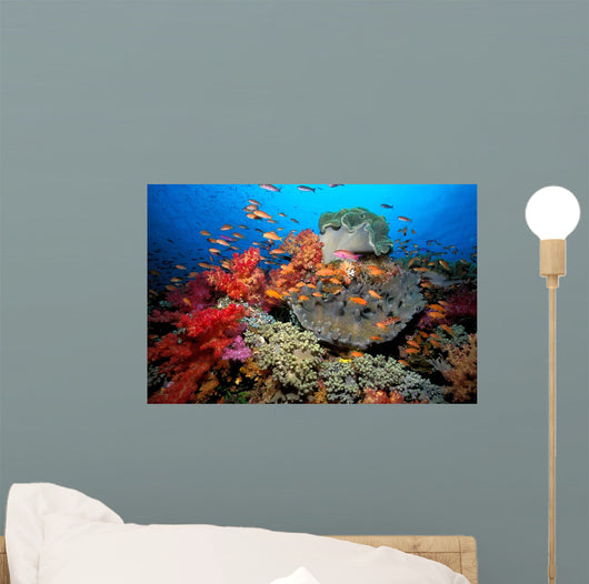 Tropical Coral Reef Fiji Wall Decal Design 7