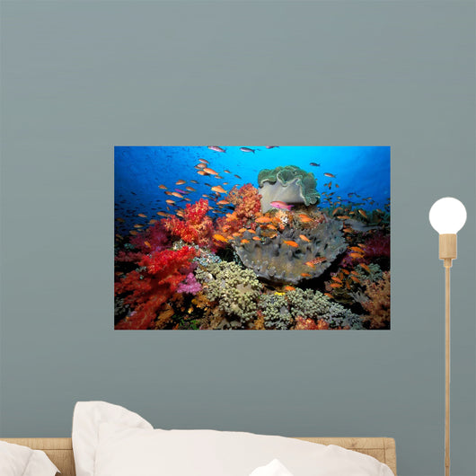 Tropical Coral Reef Fiji Wall Decal Design 7