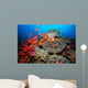 Tropical Coral Reef Fiji Wall Decal Design 7