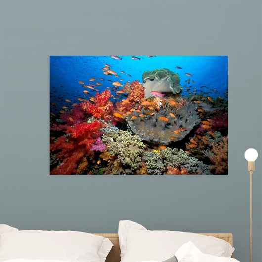 Tropical Coral Reef Fiji Wall Decal Design 7