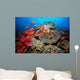 Tropical Coral Reef Fiji Wall Decal Design 7