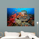 Tropical Coral Reef Fiji Wall Decal Design 7